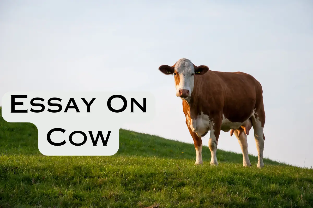 Essay on Cow in Hindi