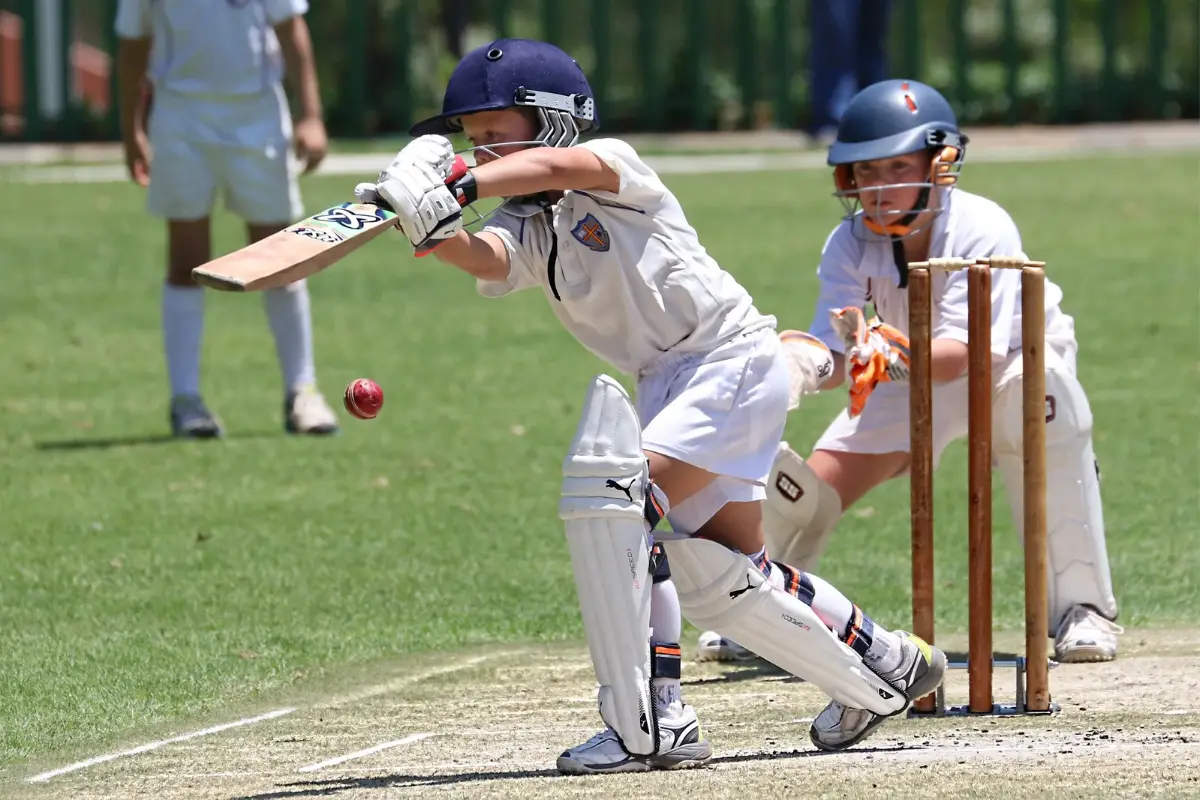 Essay on Cricket in Hindi