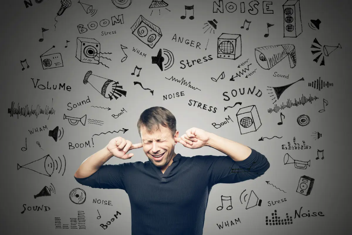 Dhwani Pradushan, Sound Pollution in Hindi, Noise Pollution in Hindi